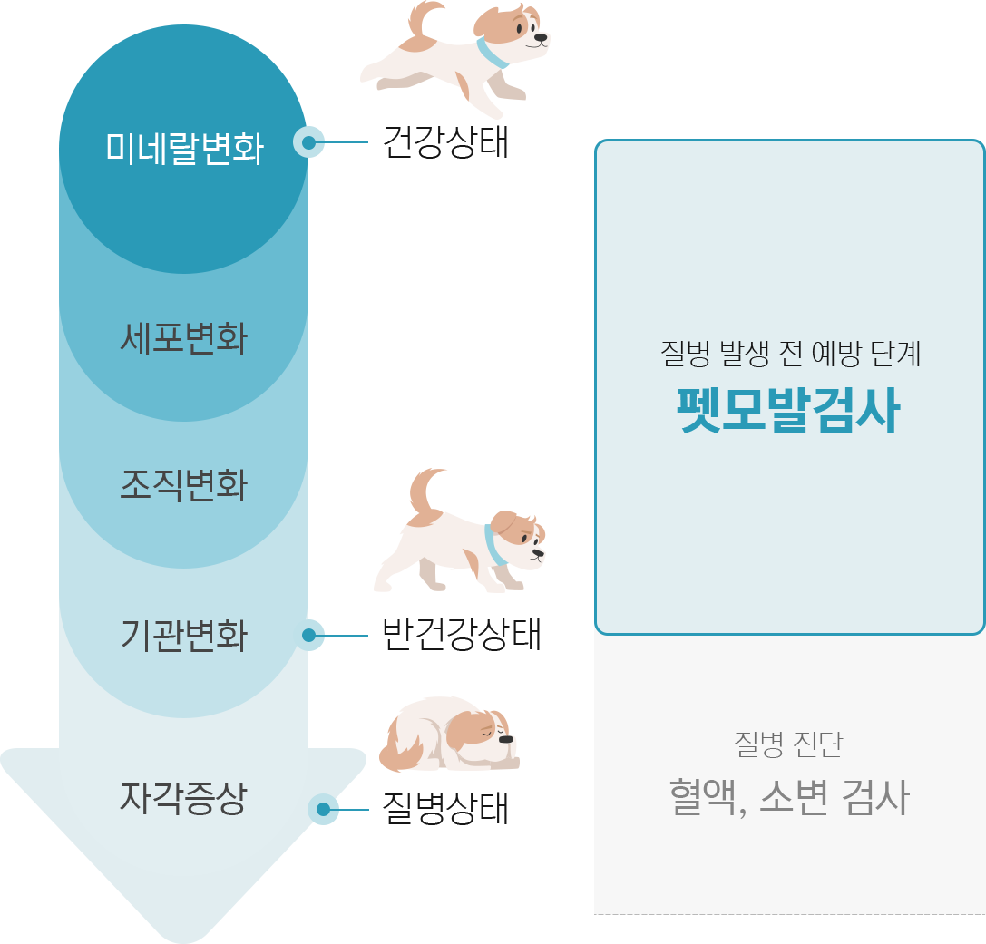petfur_point_4